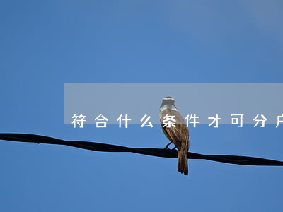 符合什么条件才可分户？