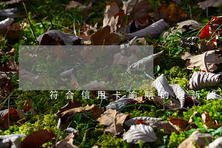 符合信用卡逾期的起訴條件