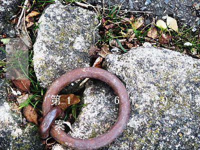 第11461101號歐柏萊商標無效宣告案