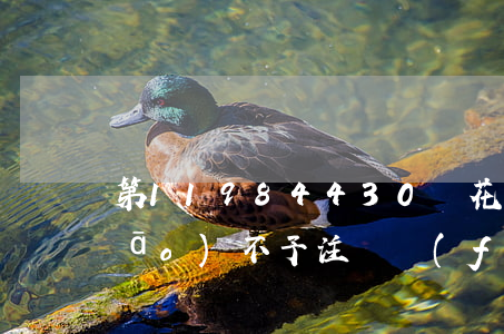 第11984430號花王綠水商標(biāo)不予注冊復(fù)審案