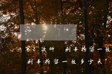 第2次醉駕刑事拘留一般多少天(第2次醉駕刑事拘留一般多少天)