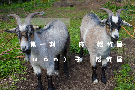 第一判決沒有離婚分居滿一年(民法典關(guān)于離婚分居滿一年)