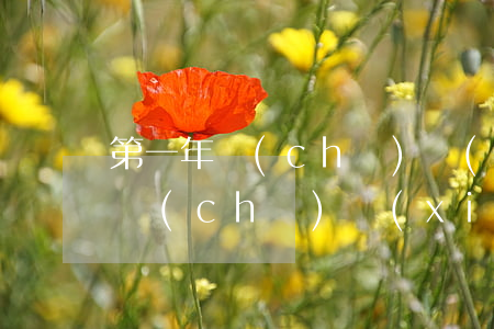 第一年車(chē)險(xiǎn)(第一年車(chē)險(xiǎn)怎么買(mǎi)最劃算)