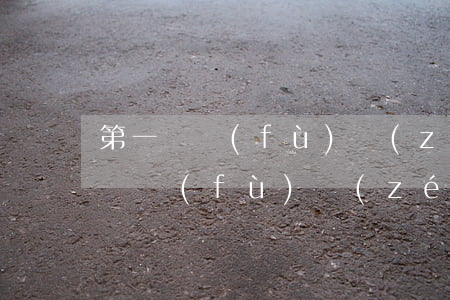 第一彈負(fù)責(zé)人被批捕(第一彈負(fù)責(zé)人是誰)