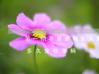 第一期車貸逾期多久會收車(第一期車貸逾期多久會收車輛)