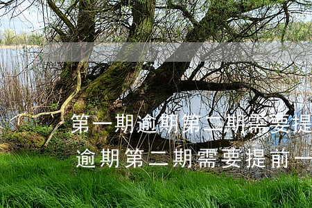 第一期逾期第二期需要提前一起還-第一期逾期第二期需要提前一起還?