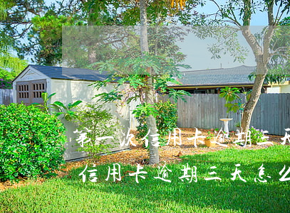 第一次信用卡逾期三天怎么辦最快-第一次信用卡逾期三天怎么辦最快還清