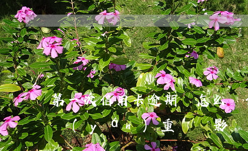 第一次信用卡逾期會怎么樣(信用卡逾期一次嚴(yán)重嗎會影響貸款嗎)