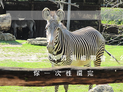 第一次借唄逾期會怎么樣(借唄逾期為什么要你一次性還完)