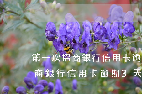 第一次招商銀行信用卡逾期3天-第一次招商銀行信用卡逾期3天會(huì)怎么樣