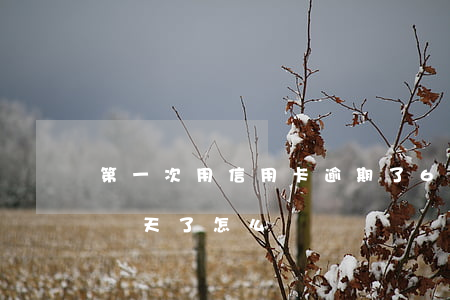 第一次用信用卡逾期了6(信用卡第一次逾期幾天了怎么辦)