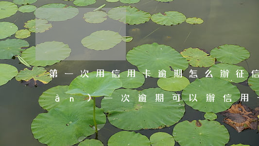 第一次用信用卡逾期怎么辦(征信出現(xiàn)一次逾期可以辦信用卡嗎)