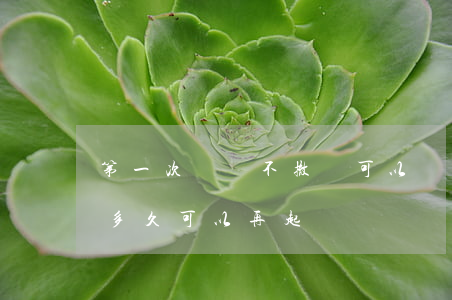 第一次訴訟不撤訴可以嗎(第一次起訴撤訴后多久可以再起訴)