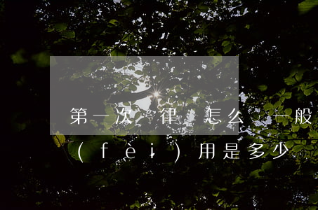 第一次請律師怎么說(一般第一次律師咨詢費(fèi)用是多少)