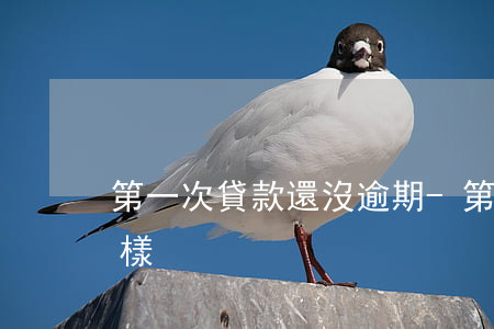 第一次貸款還沒逾期-第一次貸款逾期會怎樣