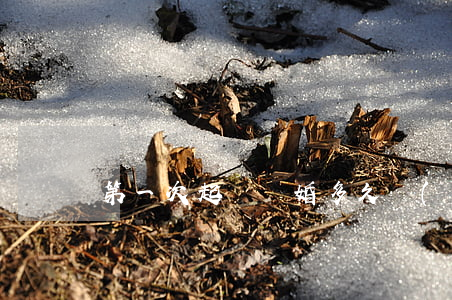 第一次起訴離婚多久開(kāi)庭