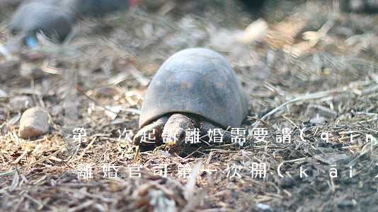 第一次起訴離婚需要請(qǐng)律師嗎(離婚官司第一次開(kāi)庭需要請(qǐng)律師嗎)