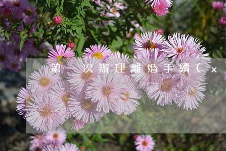 第一次辦理離婚手續(xù)怎么辦