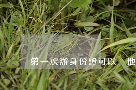 第一次辦身份證可以異地辦理嗎