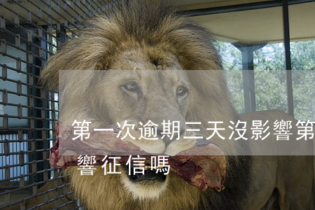 第一次逾期三天沒影響(第一次逾期三天沒影響征信嗎)