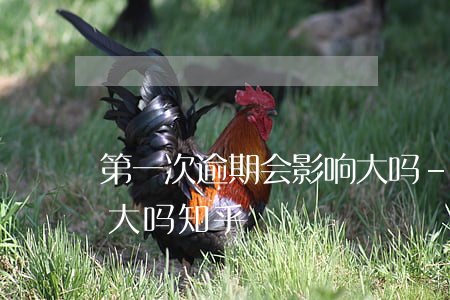 第一次逾期会影响大吗-第一次逾期会影响大吗知乎