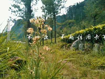 第一次還不起信用卡(第一次還不起信用卡)