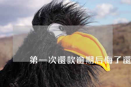 第一次還款逾期后悔了(還貸款逾期一天后果)