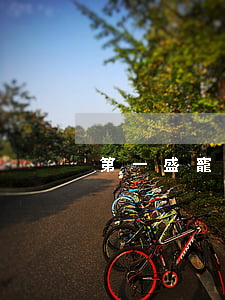 第一盛寵老婆離婚無(wú)效