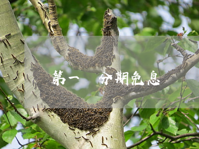 第一筆分期免息