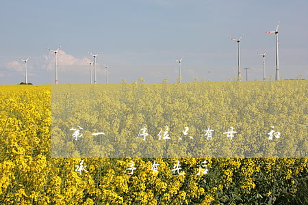 第一順序位只有母親和兒子怎么繼承(第一繼承順序有先后嗎)