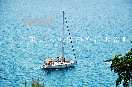 第三人可以由原告诉讼吗(第三人属于被告吗)