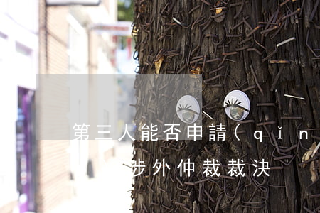 第三人能否申請(qǐng)撤銷(xiāo)涉外仲裁裁決