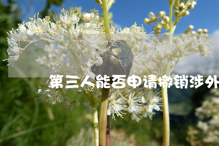 第三人能否申请撤销涉外仲裁裁决