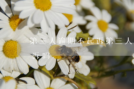 第三人逾期不起诉(第三人对判决不服可以上诉吗)