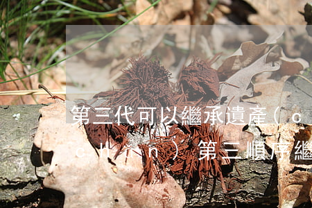 第三代可以繼承遺產(chǎn)嗎(遺產(chǎn)第三順序繼承人是)