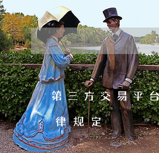 第三方交易平台的设立与基本行为规范的法律规定