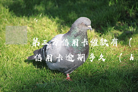 第三方信用卡催款有權(quán)上門嗎（信用卡逾期多久會(huì)第三方上門）