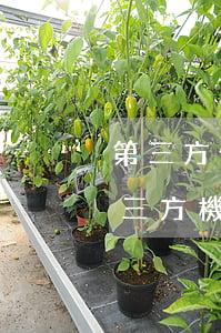 第三方催收公司信用卡逾期(欠信用卡的錢第三方機(jī)構(gòu)上門催收違法嗎)
