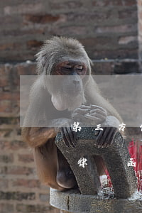 第三方催收有權(quán)利發(fā)律師函嗎(催收能不能聯(lián)系第三方)