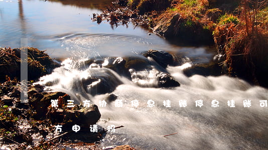 第三方协商停息挂账(停息挂账可以委托第三方申请吗)
