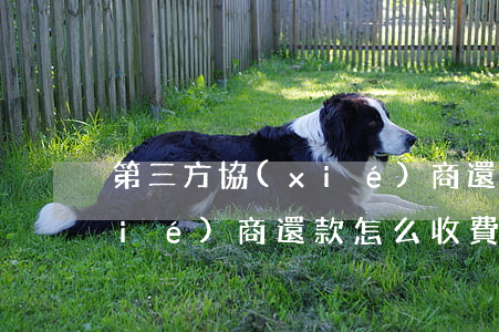 第三方協(xié)商還款-第三方協(xié)商還款怎么收費(fèi)