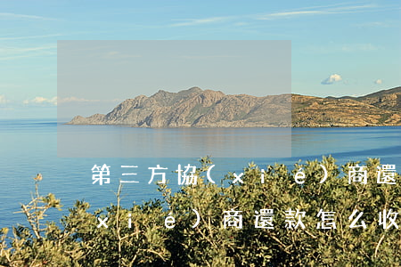 第三方協(xié)商還款套路(第三方協(xié)商還款怎么收費(fèi))