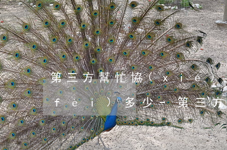 第三方幫忙協(xié)商還款一般收費(fèi)多少-第三方說可以幫忙協(xié)商還款事成之后收費(fèi)
