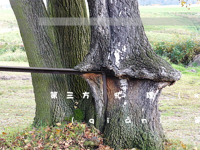 第三方幫忙辦理協(xié)商還款要多少錢(qián)-第三方說(shuō)可以幫忙協(xié)商還款事成之后收費(fèi)