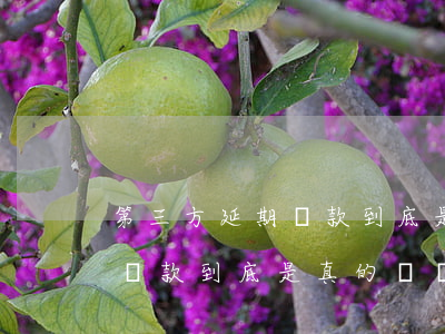 第三方延期還款到底是真的嗎-第三方延期還款到底是真的嗎還是假的