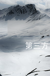 第三方支付平臺(tái)有哪些