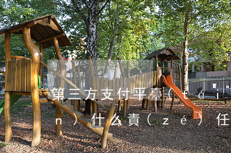 第三方支付平臺(tái)需要承擔(dān)什么責(zé)任