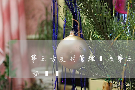 第三方支付管理辦法(第三方支付管理辦法實施細則) 第三方支付管理辦法(第三方支付管理辦法實施細則)