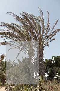 第三方有權(quán)個(gè)性化分期(第三方有權(quán)個(gè)性化分期)