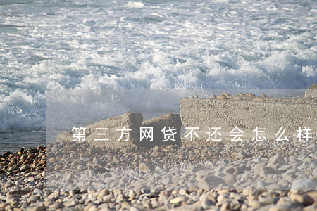 第三方网贷不还会怎么样